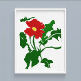 Gerbera in Red and Green