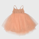 Jules cotton and tulle dress