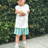 Linen Striped Shorts | Breeze