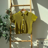 Pastel Collar Pleats Top & Bottom Set