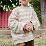 Linus stripe knit sweatshirt
