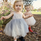 Jules cotton and tulle dress