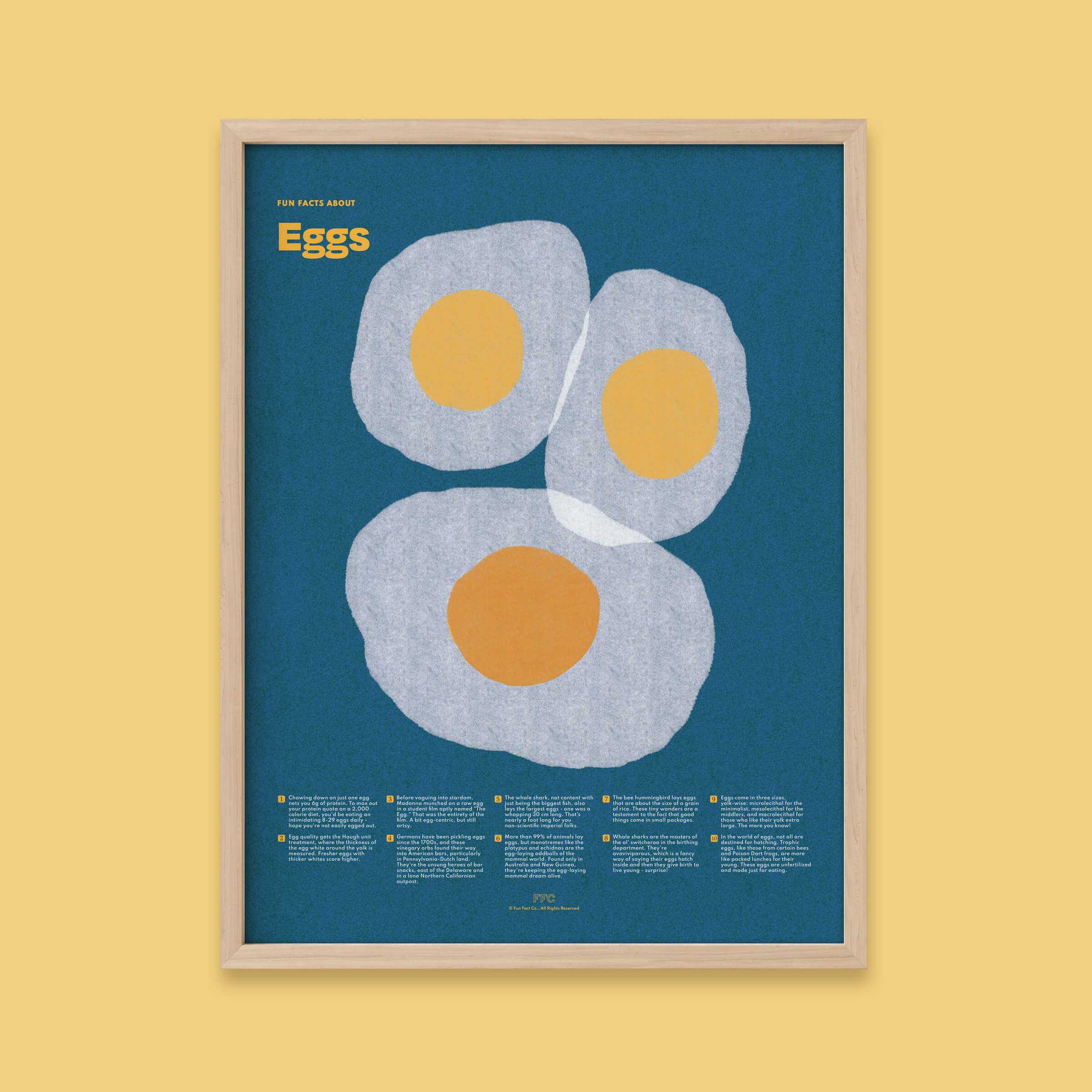 Egg Fun Facts Print