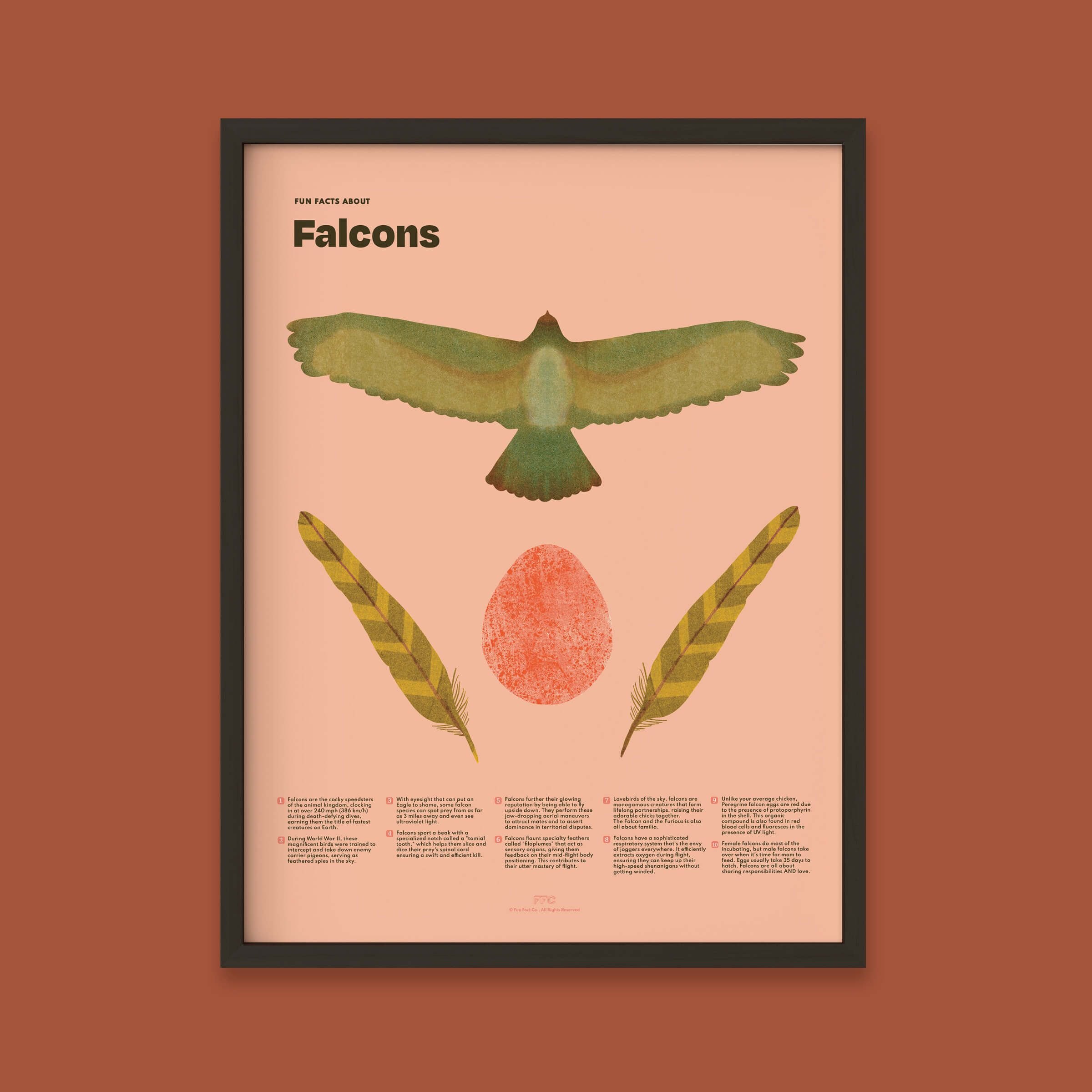 Falcon Fun Facts Print