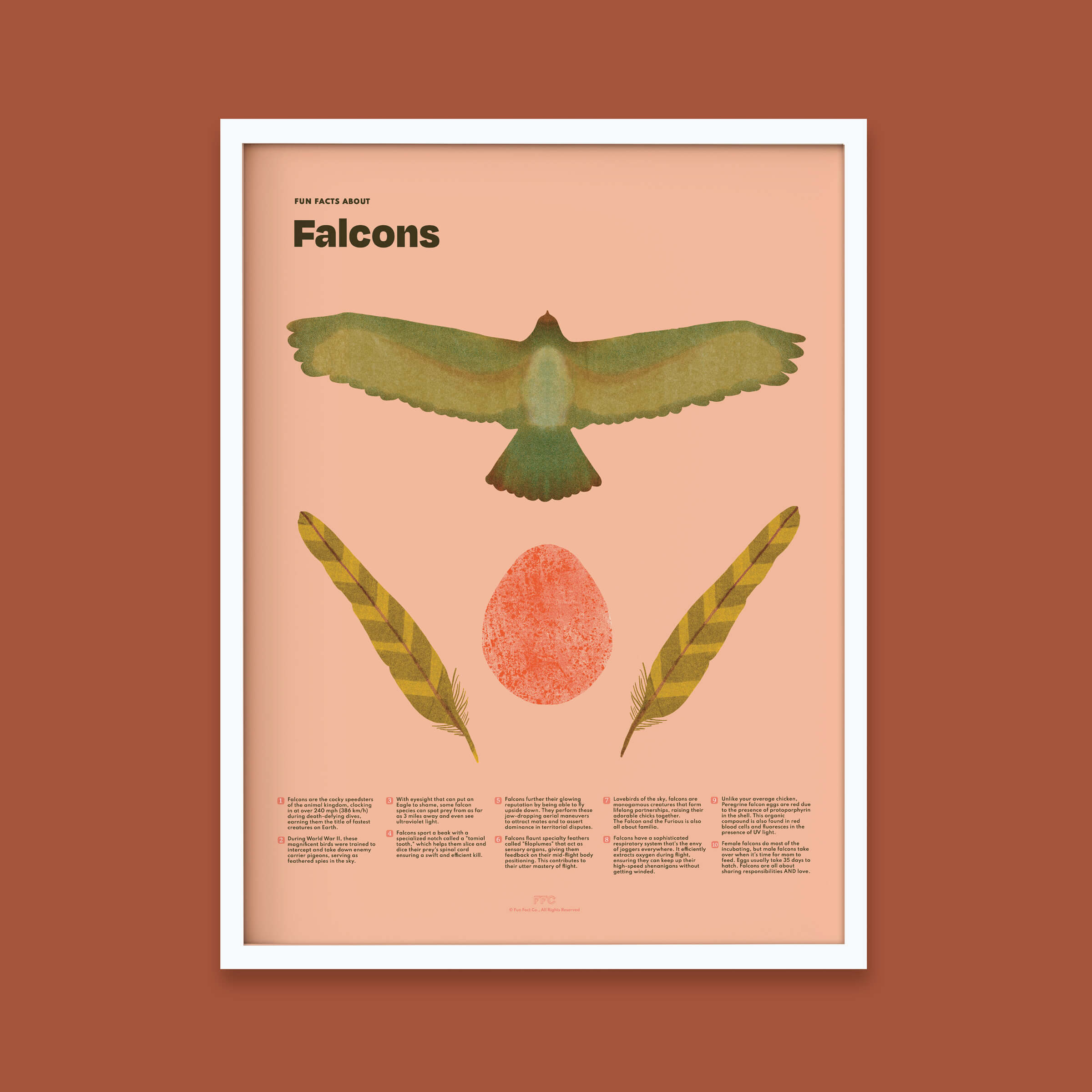 Falcon Fun Facts Print